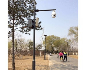 阿克苏小区监控杆-LB-02